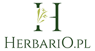 Logo Herbario